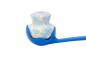 Preview: Ruffwear Toadstool Toy Blue Prism Preview: Ruffwear Toadstool Toy Blue Prism